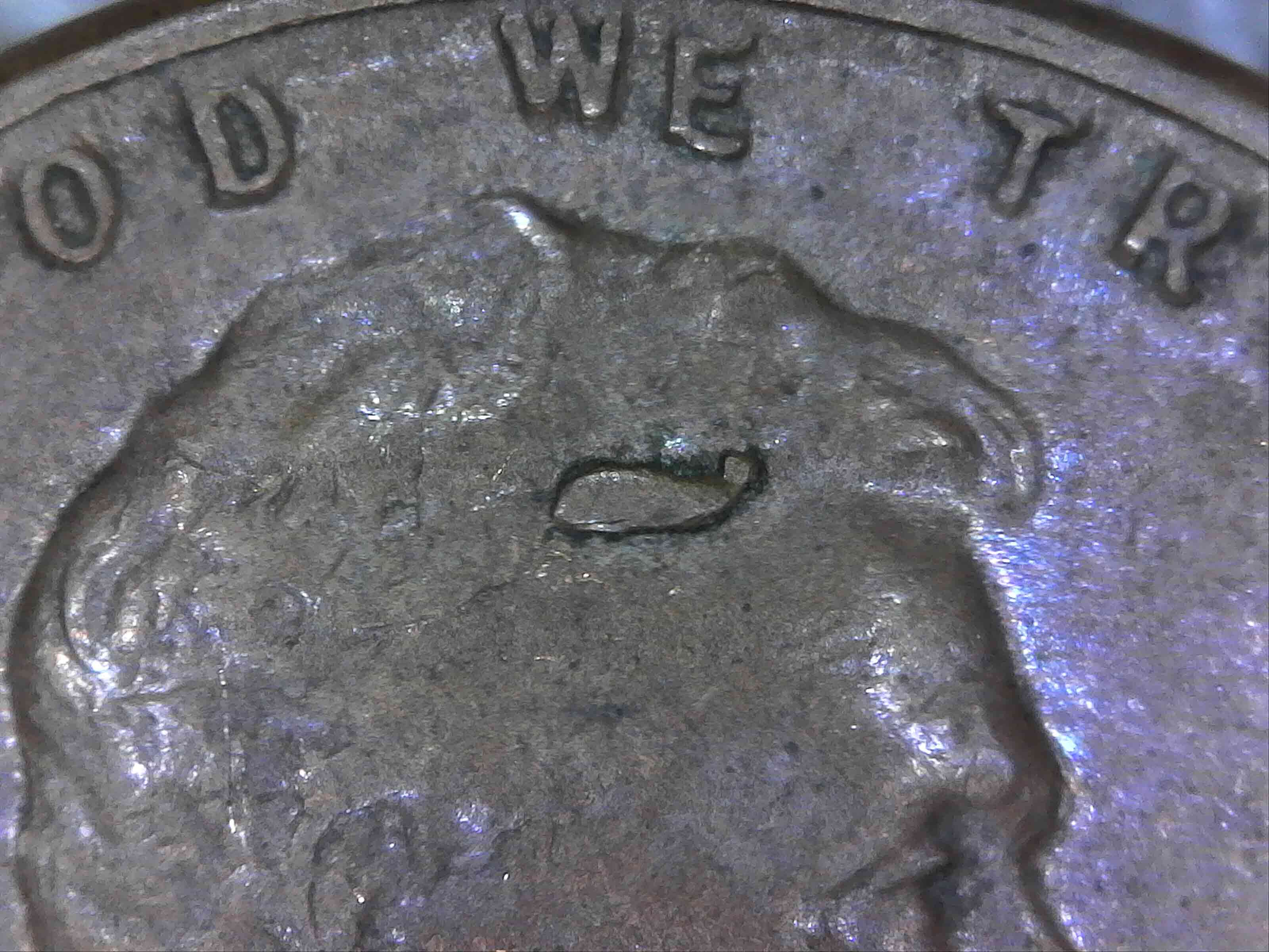1952-&-1952-S-LWC,-Technical-Term-For-These-Types-Of-